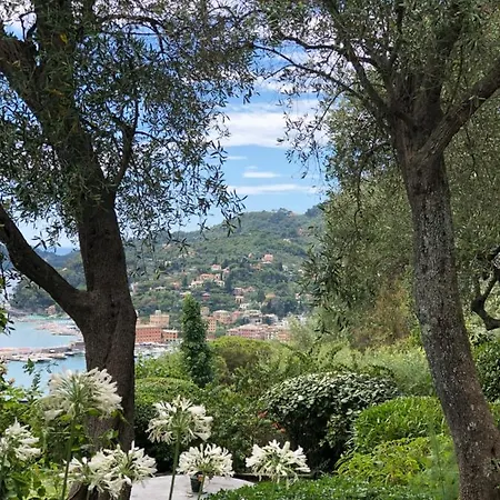 L'uliveto Di Santa Con Piscina Villa Santa Margherita Ligure