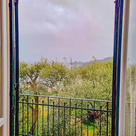 L'uliveto Di Santa Con Piscina Villa