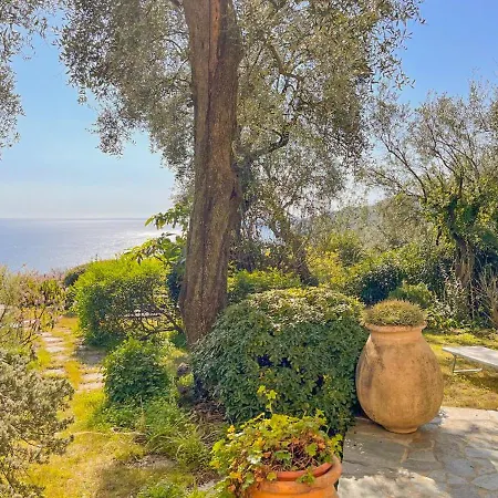 Villa L'uliveto Di Santa Con Piscina Santa Margherita Ligure